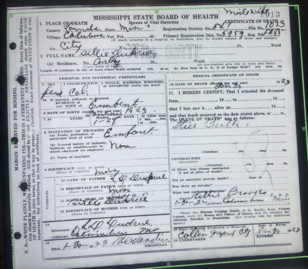Lowndes County death certificate listing "Collins Colored Cemetery"