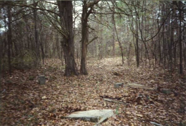 Warm Springs Cemetery in the 1990s (Photo by Michael Duer)