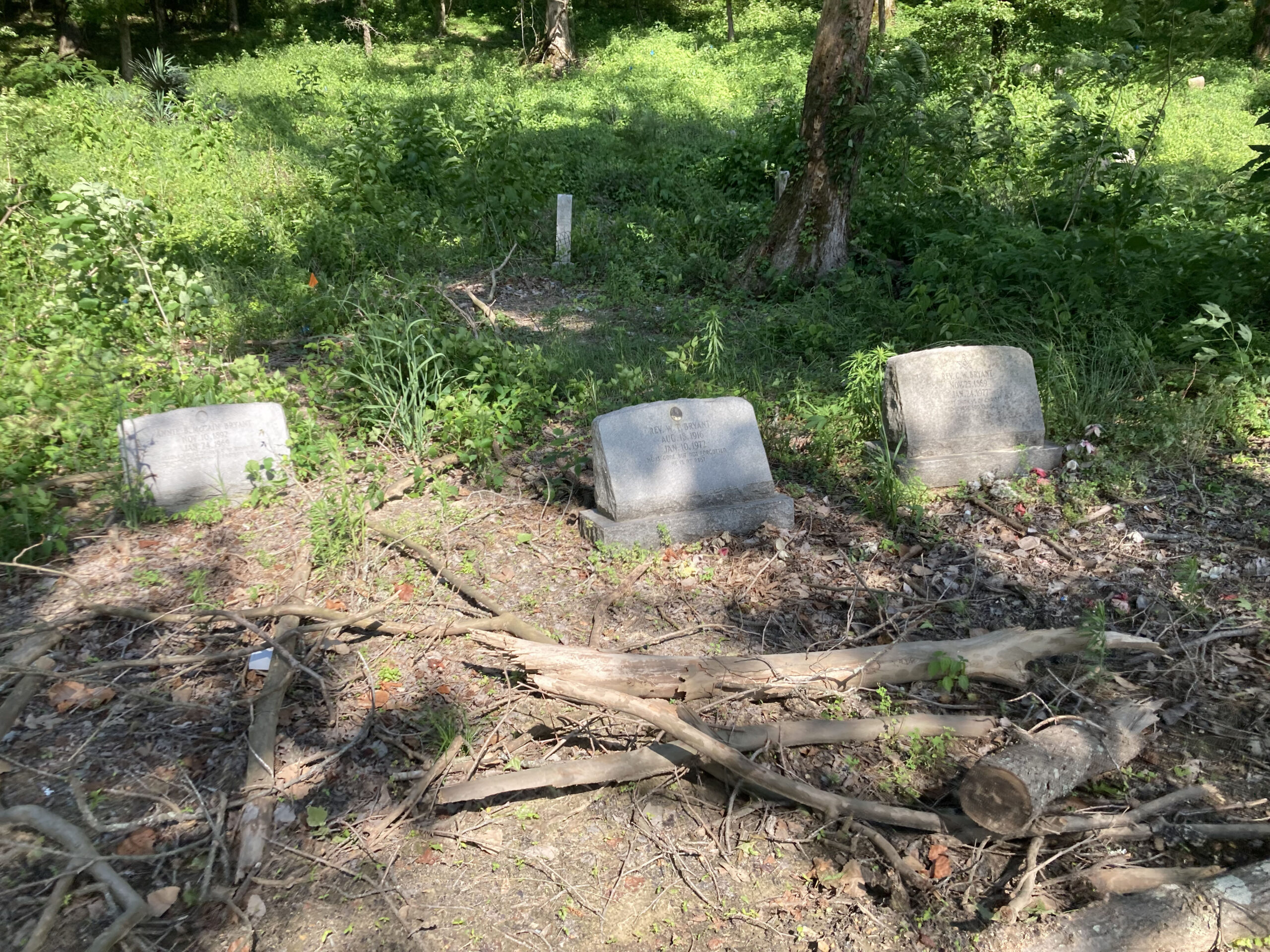 Mitchell Springs Cemetery